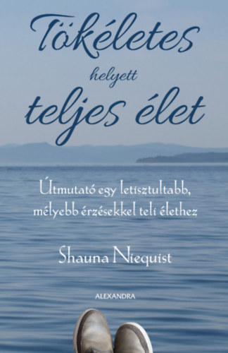 Shauna Niequist - Tkletes helyett teljes let