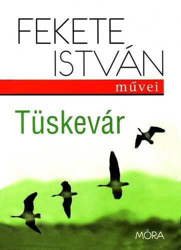 Fekete Istvn - Tskevr