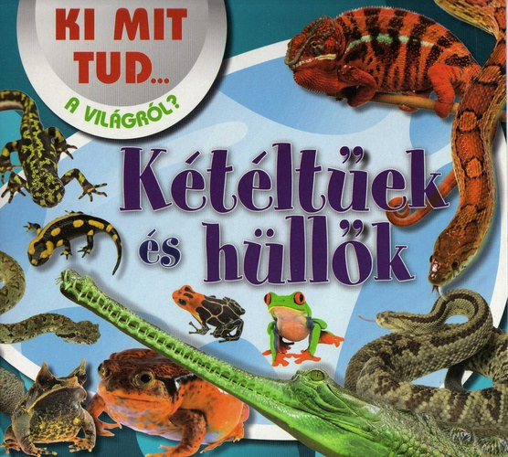 Ki mit tud...a vilgrl? Ktltek s hllk