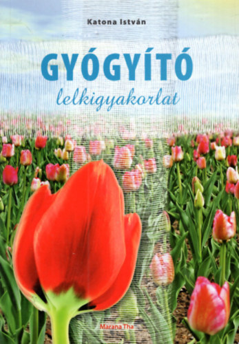 Katona István - Gyógyító lelkigyakorlat
