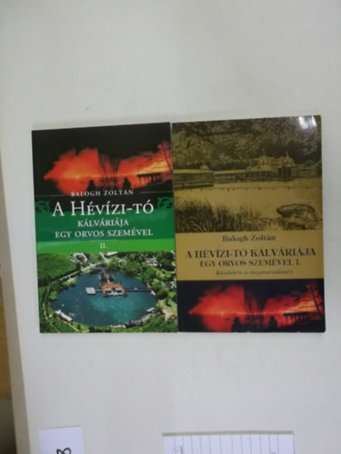 Balogh Zolt�n - A h�v�zi t� k�lv�ri�ja egy orvos szem�vel I. - II.