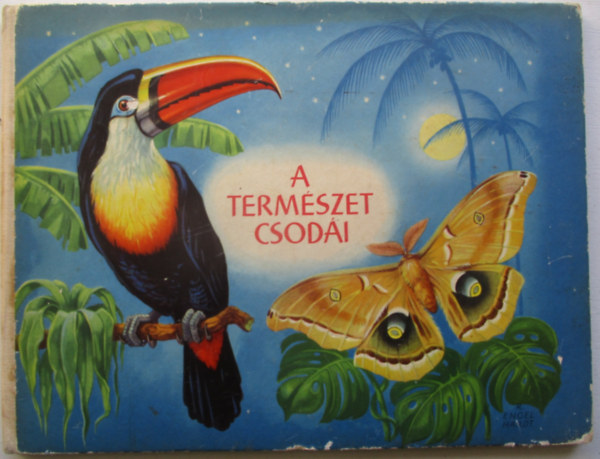 Rudolf Engel-Hardt  (�rta �s rajzolta) - A term�szet csod�i (K�pesk�nyv)