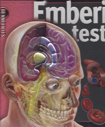 Linda Calabresi - Emberi test (Bennfentes)