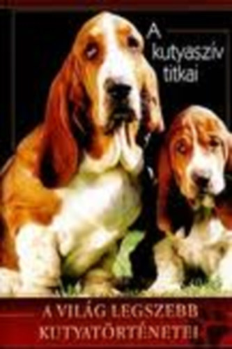 A kutyaszív titkai - A világ legszebb kutyatörténetei