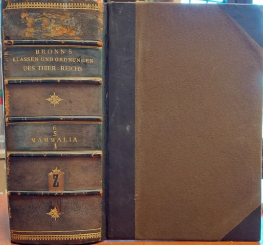 C.G. Giebel - Klassen und Ordnungen des Thier-Reichs  - Mammalia 1. (Az llatvilg osztlyai s rendjei  - Emlsk 1. nmet nyelven) 1877.