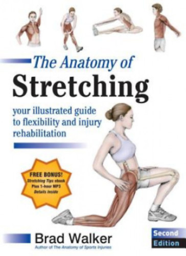 The Anatomy of Stretching: Your Illustrated Guide to Flexibility and Injury Rehabilitation