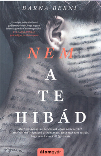 Barna Berni - Nem a te hibád