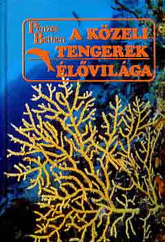 Dr. Pnzes Bethen - A kzeli tengerek lvilga