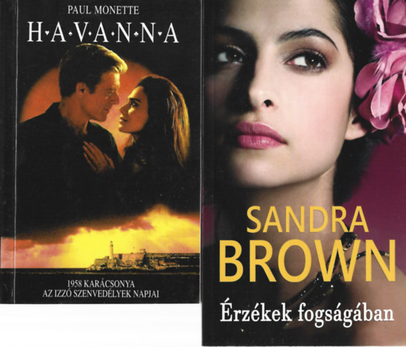 2 db könyv, Sandra Brown: Érzékek fogságában, Paul Monette: HAVANNA