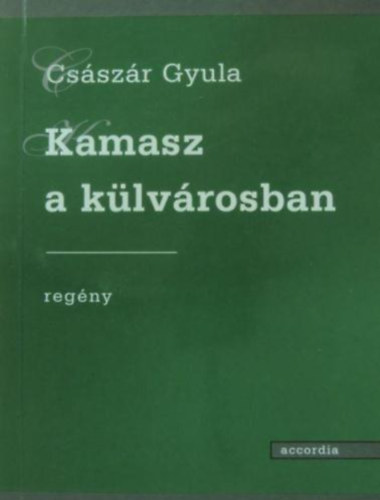 Csszr Gyula - Kamasz a klvrosban