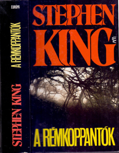 Sznt Pter  Stephen King (ford.) - A rmkoppantk (The Tommyknockers) - Sznt Pter fordtsban
