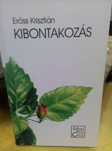 Erőss Krisztián - Kibontakozás