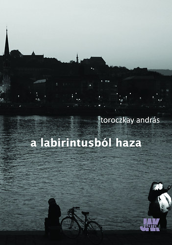 Toroczkay Andrs - A labirintusbl haza