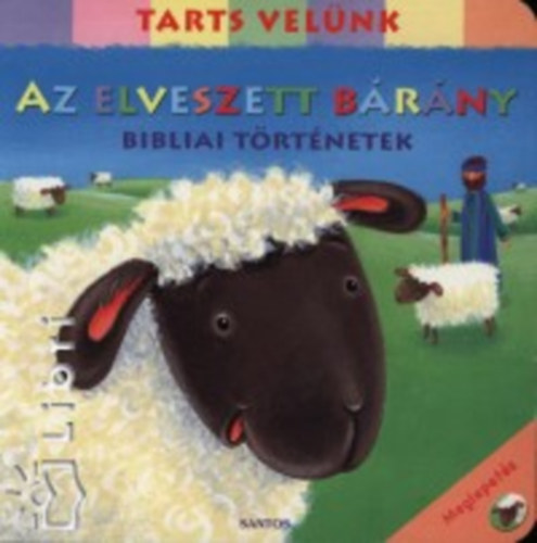 Az elveszett brny - Bibiai trtnetek