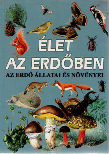 Élet az erdőben - Az erdő állatai és növényei