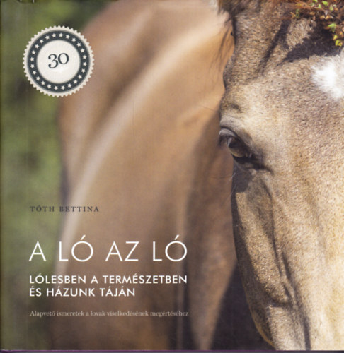 T�th Bettina - A l� az l�