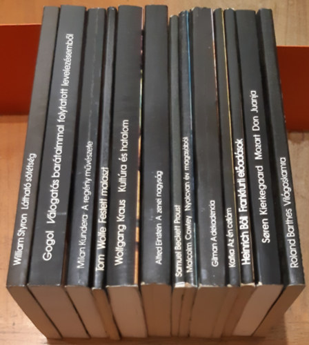 Barthes - Kierkegaard - Bll - Kafka - Gilman - Cowley - Beckett - Einstein - Kraus - Wolfe - Kundera - Gogol - Styron - Vilgoskamra + Mozart Don Juanja + Frankfurti eladsok + Az n cellm + A dekadencia + Nyolcvan v magasbl + Proust + A zenei nagysg + Kultra s hatalom + Festett malaszt + A regny mvszete + Vlogats bartaimmal folytatott l