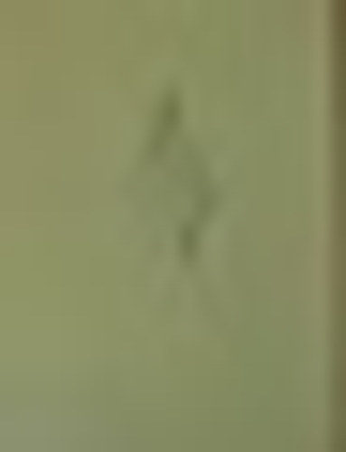 Hars�nyi Istv�n - Fi�k k�nyve