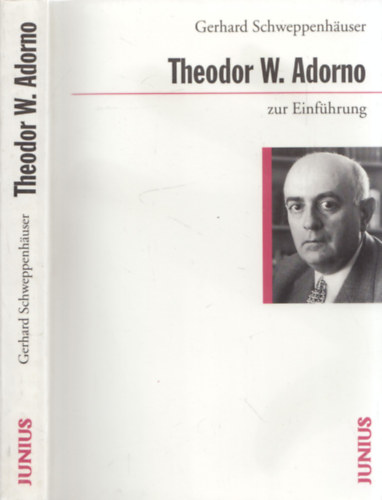 Gerhard Schweppenhuser - Theodor W. Adorno zur Einfhrung
