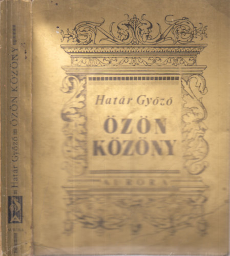 Hat�r Gy�z� - �z�n k�z�ny (dedik�lt)