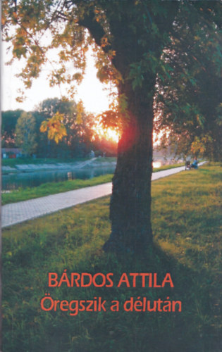 Brdos Attila - regszik a dlutn (dediklt)