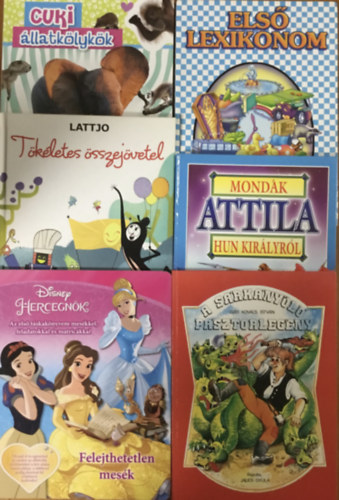 Mese és ifjúsági könyvcsomag 6 kötet