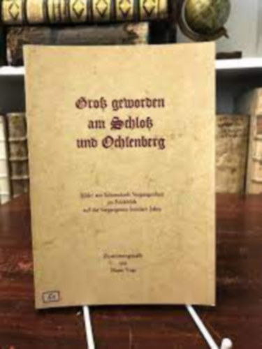 Horst Vogt - Gross geworden am Schloss und Ochsenberg : Bilder aus Schorndorfs Vergangenheit im Rckblick auf die vergangenen 100 Jahre