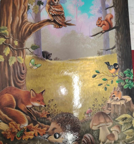 Erdei kaland k�rtyagy�jt�