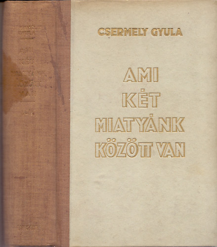 Csermely Gyula - Ami két miatyánk között van