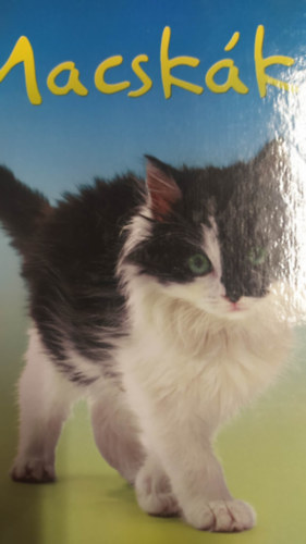 Anna Milbourne - Macskák