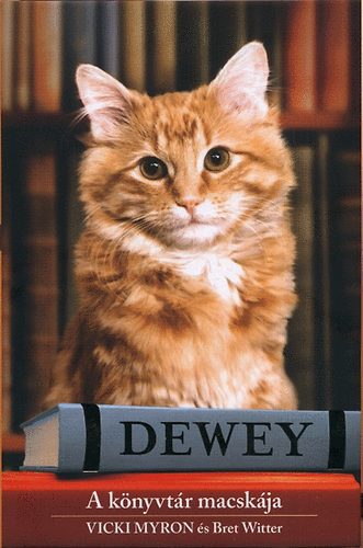 Vicki Myron Bret Witter - Dewey - A könyvtár macskája