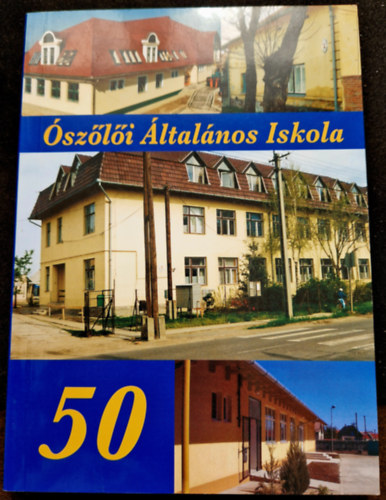 Ószőlői Általános Iskola (50)