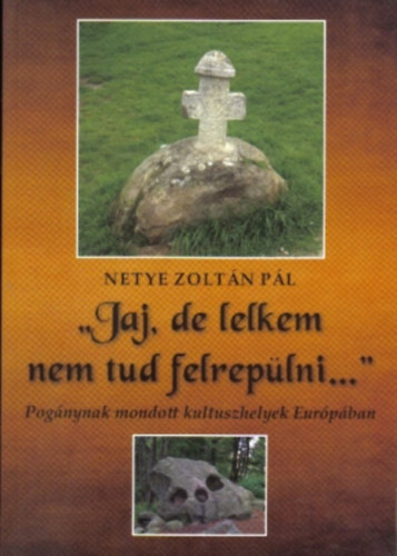 Netye Zolt�n P�l - "Jaj, de lelkem nem tud felrep�lni..."