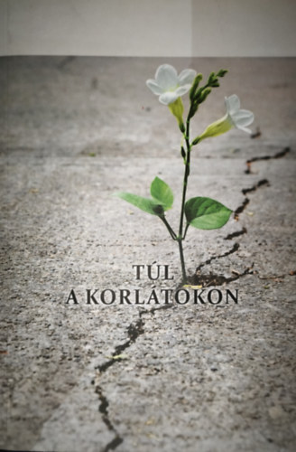 Kopcsndin Zsuzsa  (szerk.) - Kopcsndin Zsuzsa (szerk.) - Tl a korltokon