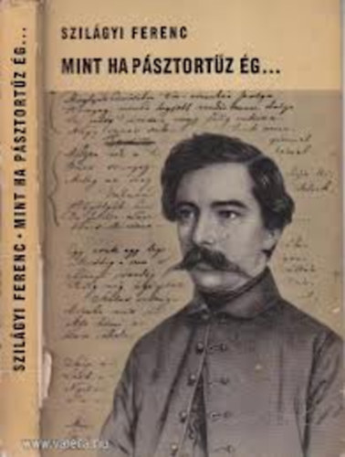 Szil�gyi Ferenc - Mint ha p�sztort�z �g...