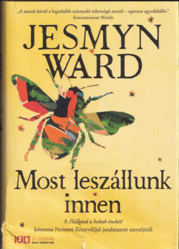 Jesmyn Ward - Most leszllunk innen