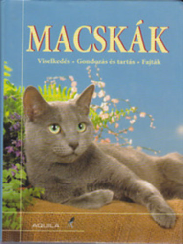 Macskk (viselkeds, gondozs s tarts, fajtk)