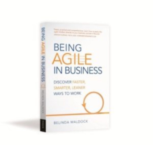 by Belinda Waldock  (author) - Being Agile in Business  --  (Discover faster, smarter, learner ways to work)