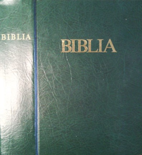 Szent Istvn-Trsulat - A biblia-szvetsgi s jszvetsgi szentrs