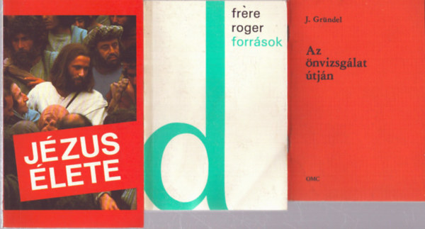 Fr�re Roger J. Gr�ndel - 3 db vall�si t�m�j� k�tet: Az �nvizsg�lat �tj�n - Forr�sok - J�zus �lete