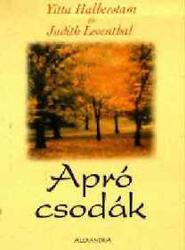 Yitta Halberstam; Judith Leventhal - Apró csodák