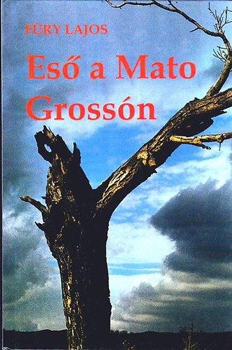 F�ry Lajos - Es� a Mato Gross�n