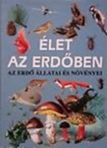 let az erdben - Az erd llatai s nvnyei