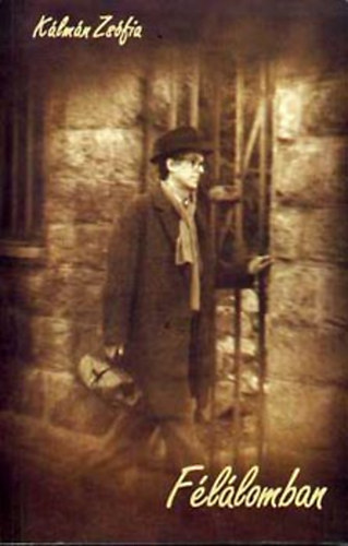 Kálmán Zsófia - Félálomban