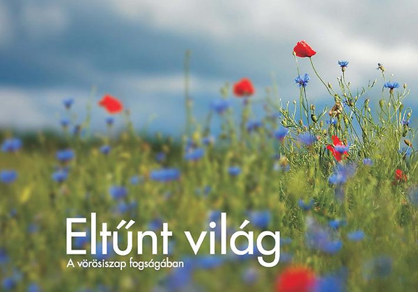 Gombs Gabriella - Eltnt vilg - A vrsiszap fogsgban