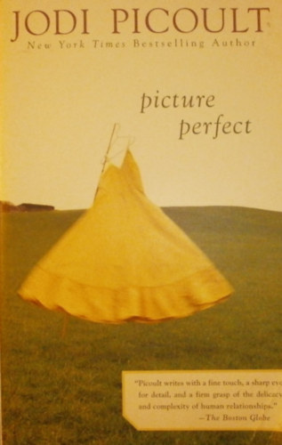 Jodi Picoult - Picture Perfect