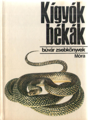 Janisch-Breznay - Kgyk, bkk (Bvr zsebknyvek)
