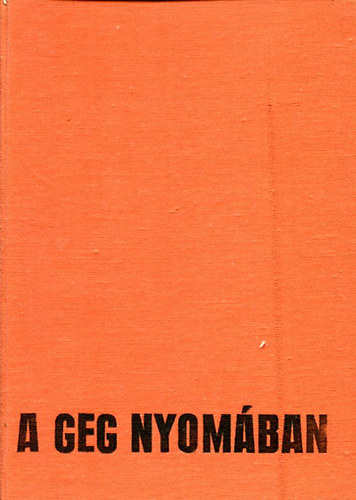 Szalay Károly - A geg nyomában