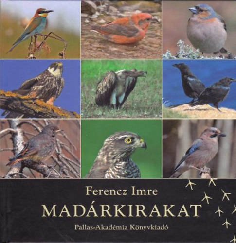 Ferenczi Imre - Madárkirakat