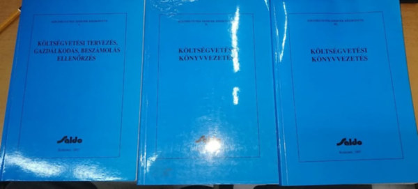 Gubnyi Lszln - Kltsgvetsi szervek kziknyve I-III.